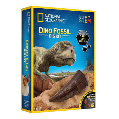 National Geographic - Kit Creativ Sa Cautam Dinozauri foto