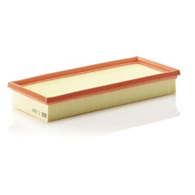 Filtru aer Mann-Filter C3397 foto