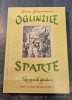 Oglinzile sparte Sorin Comorosan cu autograf