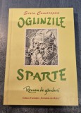 Oglinzile sparte Sorin Comorosan cu autograf