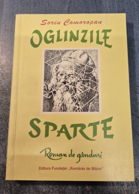 Oglinzile sparte Sorin Comorosan cu autograf foto