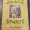 Oglinzile sparte Sorin Comorosan cu autograf