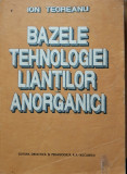 Bazele tehnologiei lianților anorganici - Ion Teoreanu