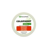 Rasina Flux Colofoniu Termopasty, 20g ART.AGT-033