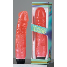 Vibrator JELLY PINK 21 cm