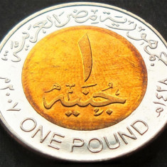 Moneda exotica bimetal 1 POUND - EGIPT, anul 2008 * cod 1930 B