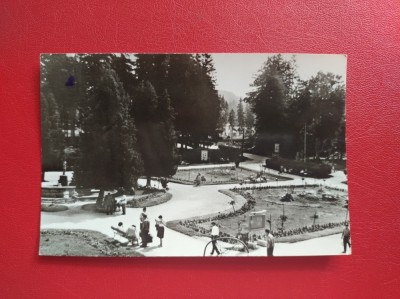 CARTE POSTALA - RPR - BORSEC - VEDERE DIN PARC foto