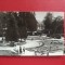 CARTE POSTALA - RSR - BORSEC - VEDERE DIN PARC