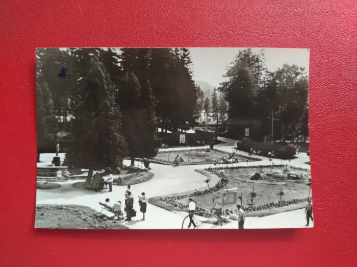 CARTE POSTALA - RPR - BORSEC - VEDERE DIN PARC