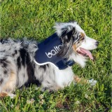 Balto - Guler de sprijin pentru g&acirc;t (ortopedic) - pentru c&acirc;ini și pi