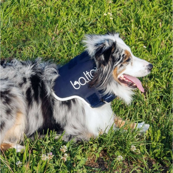 Balto - Guler de sprijin pentru g&acirc;t (ortopedic) - pentru c&acirc;ini și pi