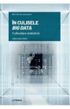 Mari idei ale matematicii. In culisele Big Data. O abordare statistica - Rafael Lahoz-Beltra