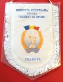Fanion - Directia Judeteana pentru TINERET si SPORT PRAHOVA
