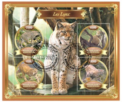 MADAGASCAR 2022 - Fauna, Lynxi / set complet colita + bloc foto