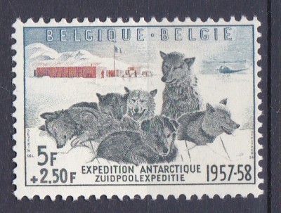 DB1 Fauna Caini Expeditie Polara 1957 Belgia 1 v. MNH foto