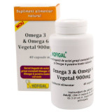 HOFIGAL Omega 3 &amp; Omega 6 Vegetal 900 mg, 40 capsule moi