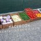 Rasad tomate, rosii, castraveti, ardei, vinete, varza - rasaduri 2025