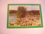 QW24 D - Carte postala - tematica turism - vedere - Delta Dunarii 7