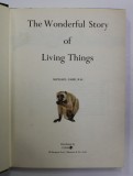 THE WONDERFUL STORY OF LIVING THINGS by MICHAEL GABB , ANII &#039; 70