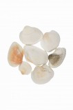 Figurina scoica pentru activitati senzoriale,6 bucati set