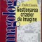imagologie Gestionarea crizelor de imagine-Vasile Cioaric