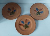 Lot 3 farfurii ceramice pictate manual vintage marcate D&uuml;nner T&ouml;pferei, Germania, 19cm diametru