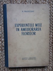 EXPERIENTELE MELE IN AMELIORAREA FLORILOR de R. PALOCSAY