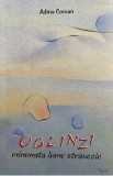 Oglinzi. minunata lume stravezie - Adina Coman