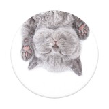 Cumpara ieftin Accesoriu de telefon - PopGrip - Cat Nap | PopSockets