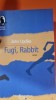 Fugi, Rabbit - John Updike