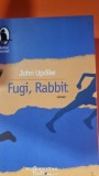 Fugi, Rabbit - John Updike