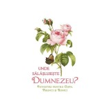 Unde sălăşluieşte Dumnezeu - Paperback brosat - L.S. Desartovici - Sophia