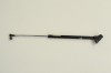 Amortizor haion dreapta SUBARU IMPREZA Hatchback GR, GH, G3 2010 OEM: NERA | 2172006