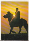 Bnk cp Calaret pe cal in amurg - carte postala circulata, Germania, Necirculata, Printata