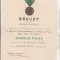 bnk md Romania - Brevet Medalia Peles - 1933