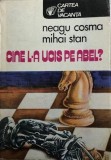 Cine l-a ucis pe Abel Neagu Cosma, Mihai Stan