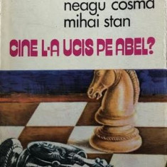 Cine l-a ucis pe Abel Neagu Cosma, Mihai Stan