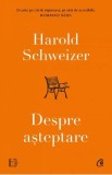 Despre asteptare - Harold Schweizer