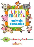 Limba engleza: Animale domestice (Colouring Book) |, 2022