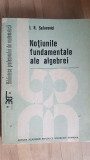 Notiunile fundamentale ale algebrei- I.R.Safarevici