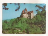 RF120 - Carte Postala - Castelul Bran, necirculata