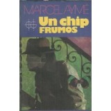 Un chip frumos - Marcel Ayme