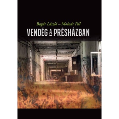 Vend&amp;eacute;g a pr&amp;eacute;sh&amp;aacute;zban - Bog&amp;aacute;r L&amp;aacute;szl&amp;oacute; foto
