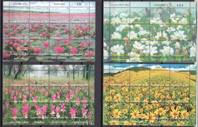 Tailanda 2000 flori MI 1972-95/2020-2031/2039-2050 4 kleib. MNH foto
