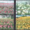 Tailanda 2000 flori MI 1972-95/2020-2031/2039-2050 4 kleib. MNH