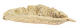 Platou Feather, 25x10x3 cm, poliston, auriu, Excellent Houseware