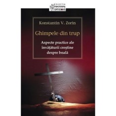 Ghimpele din trup. Aspecte practice ale invataturii crestine despre boala&nbsp;- Konstantin V. Zorin