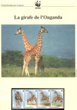 Cumpara ieftin Uganda 1997 - Girafa Rothschild, Set WWF, 6 poze, MNH, (vezi descrierea), Nestampilat