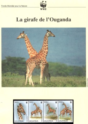 Uganda 1997 - Girafa Rothschild, Set WWF, 6 poze, MNH, (vezi descrierea) foto