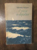 O p&acirc;nză &icirc;n depărtare - Valentin Kataev
